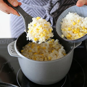 staub(XgEuj ERRbg de GOHAN M z[[16cm/1.8L O[ yKAizyUۏؕtz