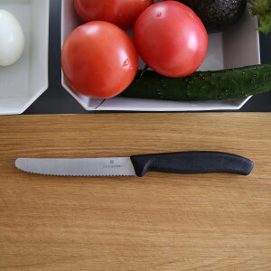 VICTORINOX (rNgmbNXj g}gxW^uiCti11cmj ubN yeBiCt