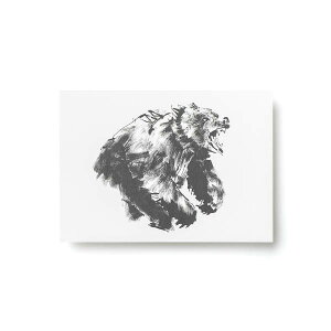 Teemu Jarvi (e[EB) |XgJ[h ROARING BEAR (qO}) A6 (10.5×14.8cm) k/CeA/{K㗝Xi/|X^[y[ցz