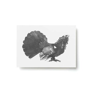 Teemu Jarvi (e[EB) |XgJ[h CAPERCAILLIE iLoVIIC`E) A6 (10.5×14.8cm) k/CeA/{K㗝Xi/|X^[y[ցz