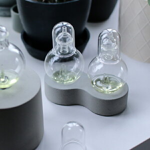 aroma (AbgA}) tXRX^hiorbpj A}/[tOX/fBt[U[