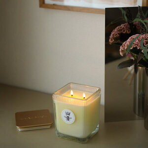 MAINE BEACH (}Cr[`) LIGURIAN HONEY (OAnj[) tOX\CbNXLh