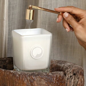 MAINE BEACH (}Cr[`) GREAT BARRIER REEF (O[goA[t) tOX\CbNXLh