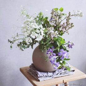 Cooee Design (クーイーデザイン) Ball Vase (ボールベース) 20cm ホワイト/サンド/ブラッシュ/グレー/ブラック 北欧/インテリア/花瓶/日本正規代理店品