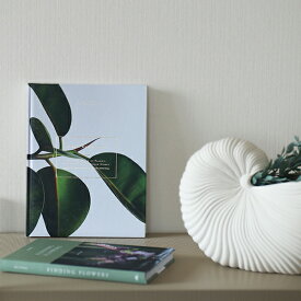 COZY PUBLISHING (コージーパブリッシング) Green Home Book 北欧/フィンランド/本/グリーン