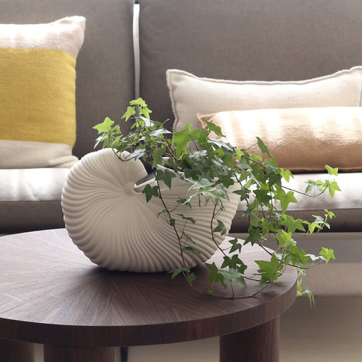 楽天市場】【国内在庫あり】ferm LIVING (ファームリビング) Shell Pot 