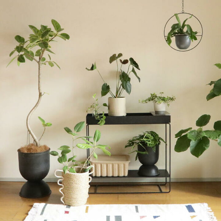 楽天市場】Ferm Living Plant Box プラントボックス Two Tier ブラック 