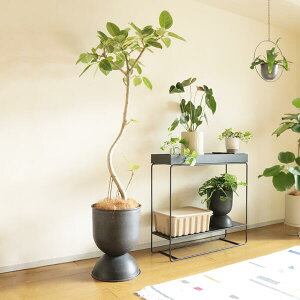 y񂹁zFerm Living (t@[rO) Hourglass Pot (A[OX |bg) S ubN/JV~A k/Jo[/Aؔ/CeA/{K̔XiyobOLy[Ώہz