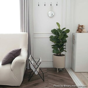 y/ubNF݌ɂzFerm Living (t@[rO) Bau Pot (oE |bg) L ubN/JV~A k/Jo[/Aؔ/CeA/{K̔XiyobOLy[Ώ