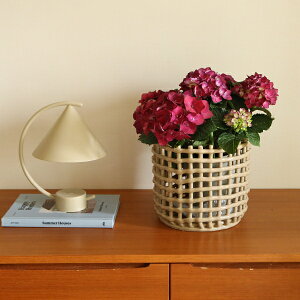 y݌ɂ/O[F񂹁zFerm Living (t@[rO) Ceramic Basket (Z~bNoXPbg) Large ItzCg/JV~A/GhO[ k/|bg/Jo[//