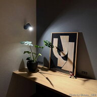 【キャンペーン対象】【お取り寄せ】Paper Collective (ペーパーコレクティブ) ポスター A4/30×40/50×7…