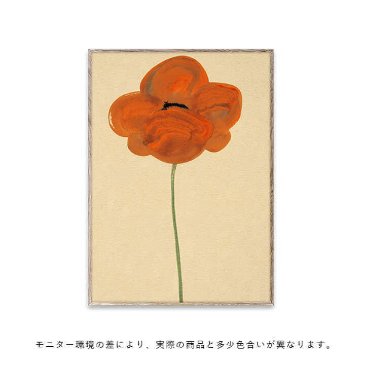 楽天市場】【キャンペーン対象】【お取り寄せ】Paper Collective 