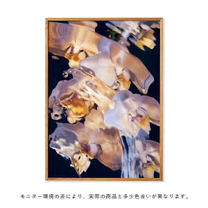 yLy[Ώہzy񂹁zPaper Collective (y[p[RNeBu) |X^[ 30×40/50×70/70×100 Flora Aquatica 01 k/CeA/A[g/{K㗝Xi