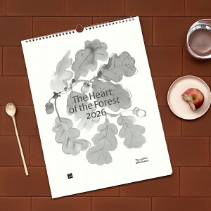 Teemu Jarvi (e[EB) J_[ The Heart of the Forest 2026 30×40cm k/CeA/Ǌ|/{K㗝Xi