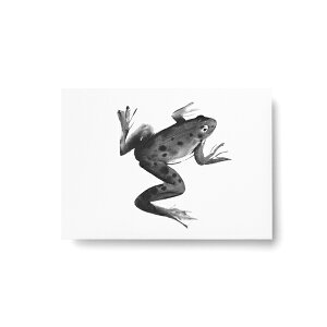 Teemu Jarvi (e[EB) |XgJ[h FROG (JG) A6 (10.5×14.8cm) k/CeA/{K㗝Xi/|X^[y[ցz