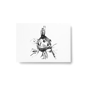 Teemu Jarvi (e[EB) |XgJ[h PERCH (p[`) A6 (10.5×14.8cm) k/CeA/{K㗝Xi/|X^[y[ցz