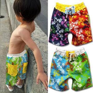 11/25P5{ q  j̎q LbY EGXgS XCpc q LbY xr[ XCEFA Cp jq ct w w xr[ V Ԃ  