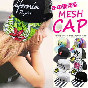 bVLbv LbY q  j̎q ̎q Lbv Xq ct w xr[ WjA    s Vv x[VbN 킹₷  yA oqR[f 