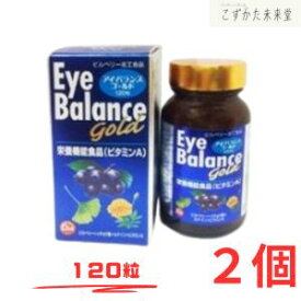 アイバランス ゴールド 120粒×2個セット ブルーベリー&イチョウ葉エキス ルテイン・ゼアキサンチン配合 第一薬品工業