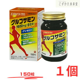 エンジョイント プラス 150粒 グルコサミン サメヒレ軟骨 ヒアルロン酸 N-アセチルグルコサミン コラーゲンペプチド MSM 第一薬品工業