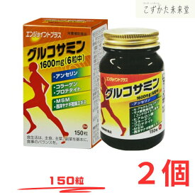 エンジョイント プラス 150粒 2個セット グルコサミン サメヒレ軟骨 ヒアルロン酸 N-アセチルグルコサミン コラーゲンペプチド MSM 第一薬品工業
