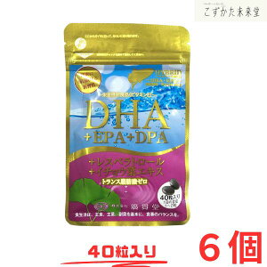 DHA+EPA+DPA レスベラトロール イチョウ葉エキス 40粒入り×6 広貫堂