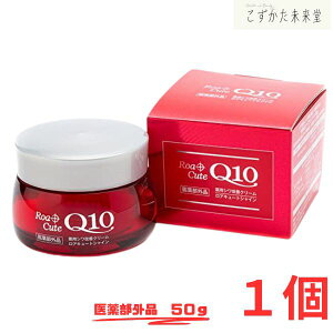 AL[g VC ێVPN[ 50g 򕔊Oi iCAVA~h pw܂ŏPA pVPN[