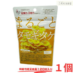 ܂邲ƃ^M^P 120 GS`IlC z ^M^P Tv L @\\Hi GGXR[|[V