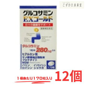 グルコサミンEX ゴールド 170粒 12個セット グルコサミン コンドロイチン ヒアルロン酸 msm サプリメント 東亜薬品 健康食品 サプリ