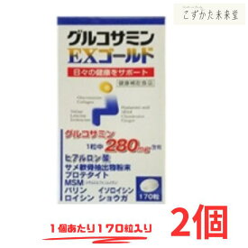 グルコサミンEX ゴールド 170粒 2個セット グルコサミン コンドロイチン ヒアルロン酸 msm サプリメント 東亜薬品 健康食品 サプリ