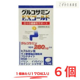 グルコサミンEX ゴールド 170粒 6個セット グルコサミン コンドロイチン ヒアルロン酸 msm サプリメント 東亜薬品 健康食品 サプリ