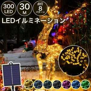 yȃGlzC~l[V \[[Cg ^pl h 300LED 30m ϋvup 10cm̓dԊu 10 p^[_ dr 8p^[_ C~l[VCg O \[[