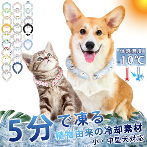 y2{ňKIzSML N[lbN O qp  lbN N[[ 24 lbNO N[ lbN O LbY p  ΍ ObY ̓ v[g