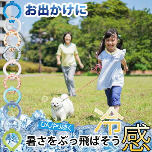 ySale101~OFFz[PCM̑]⊴ObY Ђ MǑ΍ ϋvN[O lbNN[[ ACX lbNN[ ȃN[ i lbN O PCM ACXoh
