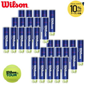 「部活応援キャンペーン5袋」 【SDGsプロジェクト】【2箱セット】Wilson(ウイルソン)【TOUR STANDARD（ツアー・スタンダード） (15缶×2=120球) WRT103800】テニスボール『即日出荷』
