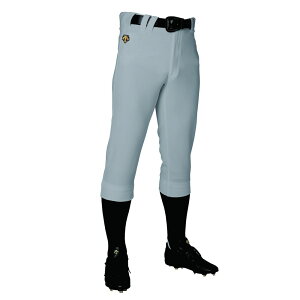 �y10��OFF�N�[�|���Ώہz�f�T���g DESCENTE �싅�E�F�A �����Y ���M�����[�p���c DB5SHP10M 2025SS