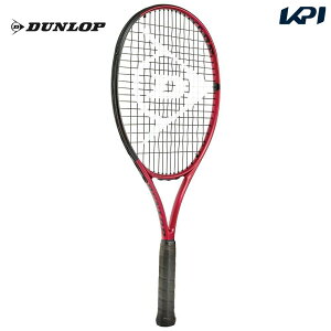 _bv DUNLOP ejXWjAPbg WjA CX JNR 25 uKbgグρv DS22102J