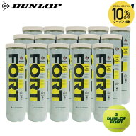 【全品10％OFFクーポン】DUNLOP（ダンロップ）「FORT（フォート）[4個入]1箱（15缶/60球）」テニスボール…