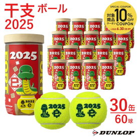 【10％OFFクーポン対象】『即日出荷』ダンロップ DUNLOP テニステニスボール 干支ボール 2025年「巳」 FORT(フォート) 2個入 1箱(30缶/60球) DFF25ETOYL2DOZ