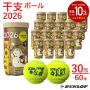 【10%OFFクーポン対象】ダンロップ DUNLOP テニステニスボール 干支ボール 2026年「午」 FORT(フォート) 2個入 1箱(30…