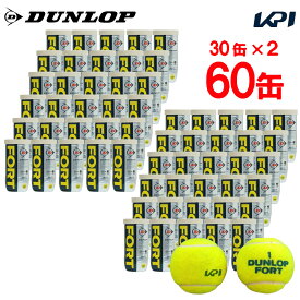 【全品10％OFFクーポン】「合宿応援キャンペーン10袋」 【2箱セット】『即日出荷』【SDGsプロジェクト】「KPIオリジナルモデル」「新パッケージ」DUNLOP（ダンロップ）「FORT（フォート）[2個入] 2箱セット(1箱30缶×2=120球) KPIロゴ」テニスボール 【KPI限定】