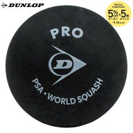【エントリーで抽選▲最大10万ポイント】ダンロップ DUNLOP スカッシュボール PRO プロ DSBPRO1PCS