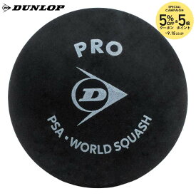 ダンロップ DUNLOP スカッシュボール PRO プロ DSBPRO1PCS