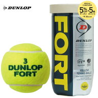 DUNLOP（ダンロップ）「FORT（フォート）[2個入]1缶」テニスボール『即日出荷』