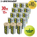 【10％OFFクーポン対象】【2球入×15缶セット(箱なし)】DUNLOP（ダンロップ）「FORT（フォート）[2個入] 1缶×15（30…