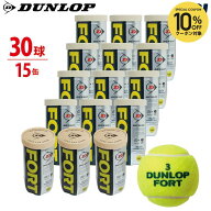 【2球入×15缶セット(箱なし)】DUNLOP（ダンロップ）「FORT（フォート）[2個入] 1缶×15（30球）」テニス…