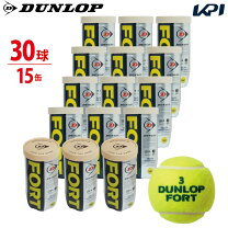 楽天市場】ダンロップ フォート 2 個 入りの通販