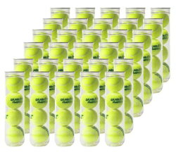 楽天市場 全品10 Offクーポン 10 31 あす楽対応 Dunlop ダンロップ プラクティス1箱 30缶 1球 テニスボール 即日出荷 Kpi
