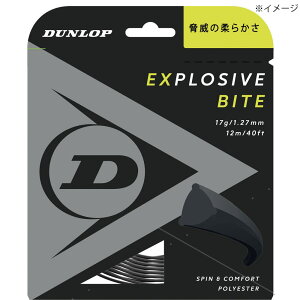 y10%OFFN[|Ώہz_bv DUNLOP ejXKbgEXgO EXPLOSIVE BITE GNXvbVuEoCg [^Cv 240m[ DST12011