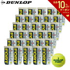 【全品10％OFFクーポン▼】【365日出荷】「あす楽対応」DUNLOP（ダンロップ）「FORT（フォート）[2個入]1箱（30缶/60球）」テニスボール 『即日出荷』